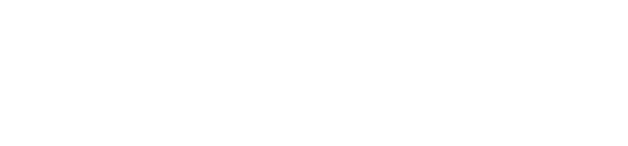 logo White